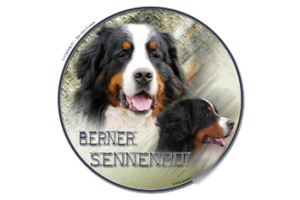 KLISTERMÆRKER - Berner Sennenhund - 1 stk. - Ø 14 cm.