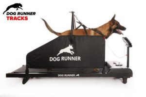 DOG RUNNER - Løbebånd til hunde 