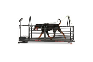 DOG RUNNER - Løbebånd til hunde - Ortho Pro - XL 